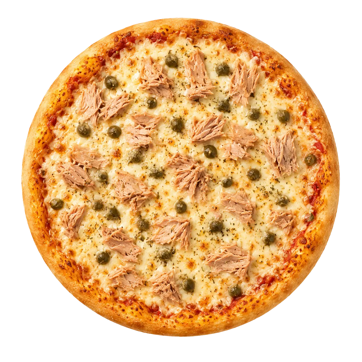 Percotore